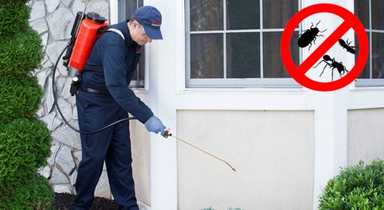 Ovacık Fare İlaçlama böcek ilaçlama ve haşere kontrolü — ilaclama-tr.com